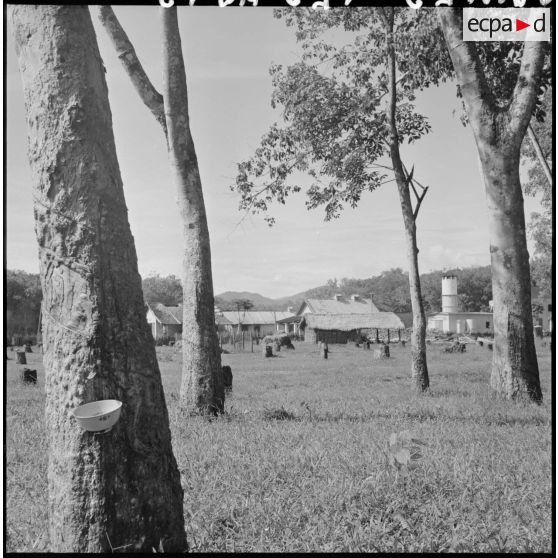 L'usine de caoutchouc de la plantation Pasteur.