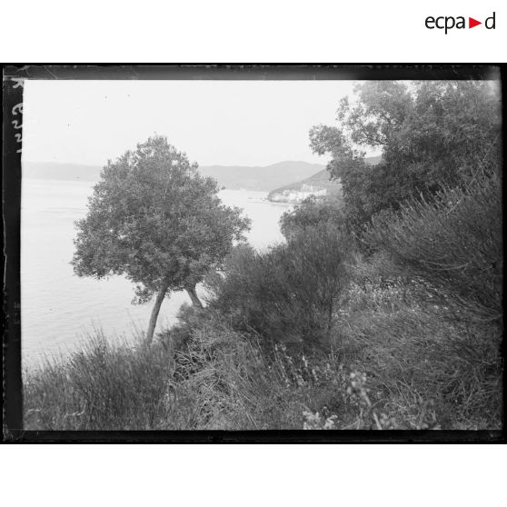 Mont Athos. Monastère de Xénophon. [légende d'origine]