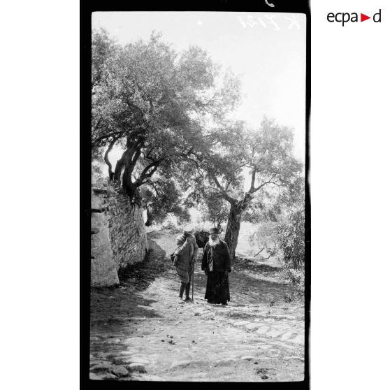 Mont Athos. Couvent de Dochiarion. Près du couvent de Dochiarion. [légende d'origine]