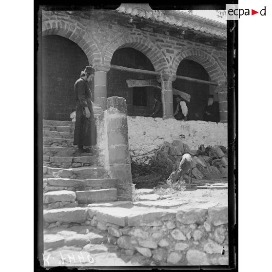 Les Météores (Thessalie). Monastère d'Hagios Stéphanos. La biche du Monastère. [légende d'origine]