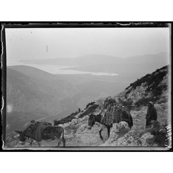 [Un homme accompagné de deux ânes, sur une route de montagne qui surplombe une vallée.]