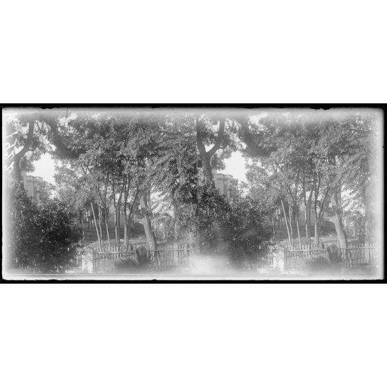 Salonique. La section. [légende d'origine]