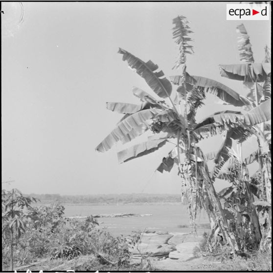 Le Mékong à Kaeng Kabao.