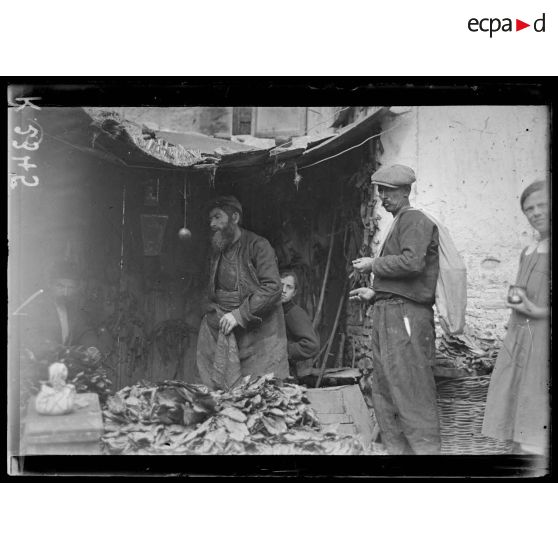 Salonique. Sur la place du marché. Type de marchand. [légende d'origine]