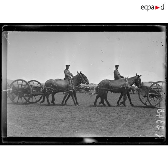 Fête donnée au camp Anglais de Mika Akbunar. Concours hippique. Voiture attelée de mulets. [légende d'origine]