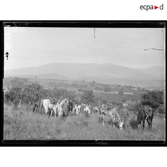 Izvor. En reconnaissance. Pied à terre. La patrouille poursuit à pied. [légende d'origine]
