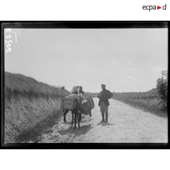 Tosilovo. Le village. Paysans en fête. (Tosilovo, rive droite de Vardar). [légende d'origine]