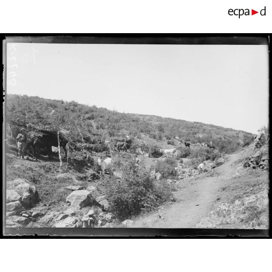 Barovika. Abris dans la brousse. [légende d'origine]