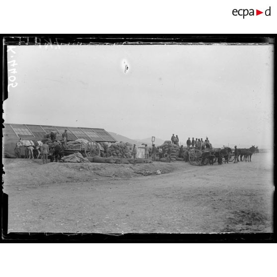 Mikra. Grand dépôt de l'intendance. Chargement d'arabas. [légende d'origine]