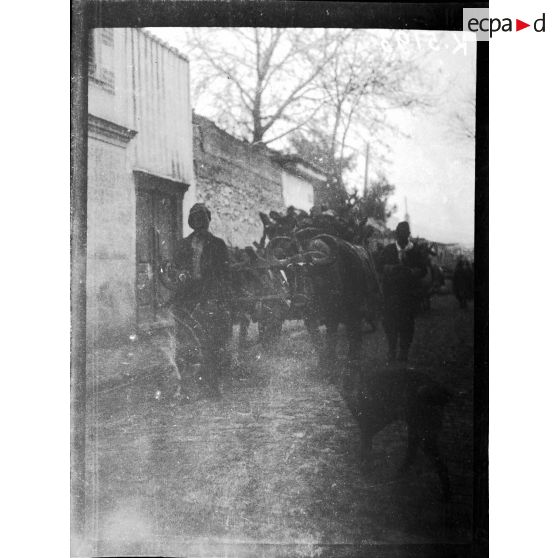 [Attelage de buffles dans une rue de la haute ville de Salonique.]