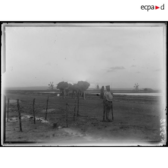Djibouti à Ambouli. Sentinelle sur la plage. [légende d'origine]