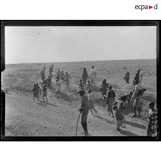 Route de Djibouti à Ambouli. Sur le passage du train. [légende d'origine]