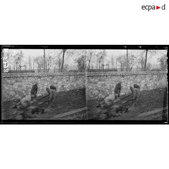 Monastir. Des indigents vont tirer parti de la dépouille d'un cheval victime d'un obus. [légende d'origine]