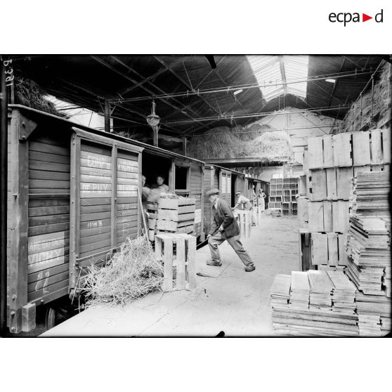 Vichy. Allier. Société fermière de Vichy. La mise en wagon. [légende d'origine]