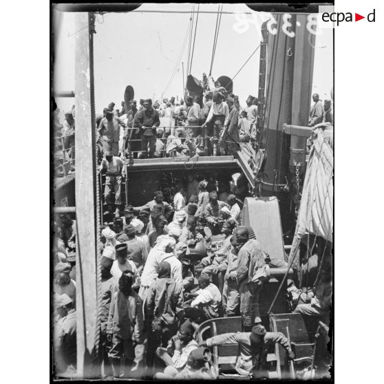 A bord de la Chaouïa, sénégalais. [légende d’origine]