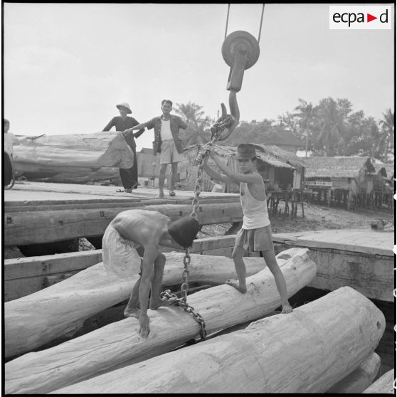 Déchargement du teck pour la Compagnie asiatique et africaine.