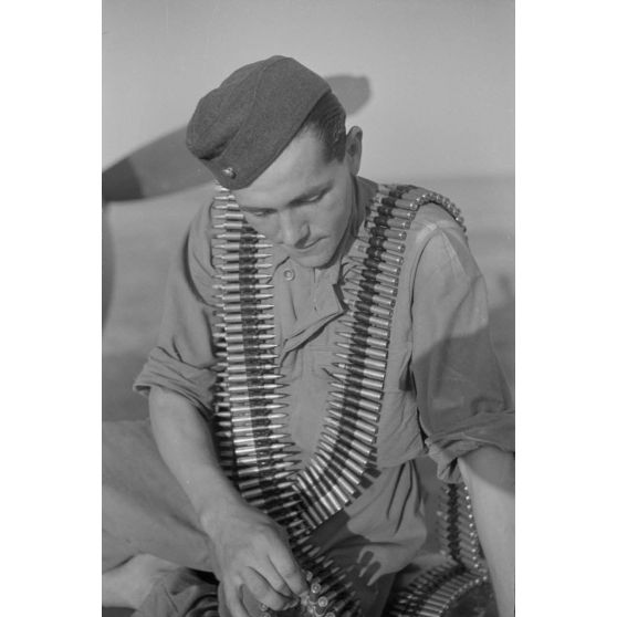 Un mécanicien approvisionne les mitrailleuses d'un Heinkel He-114 roumain pour une mission de bombardement du Grupul 9.