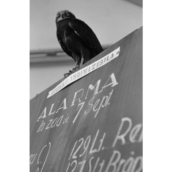 Tableau des missions aériennes pour le 7 septembre 1942 du Grupul 9.