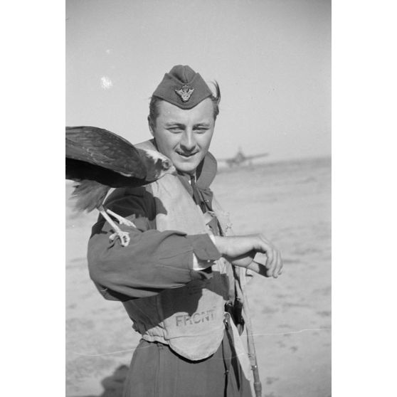 Portrait d'un pilote roumain et d'un faucon (oiseau) sur le bras.