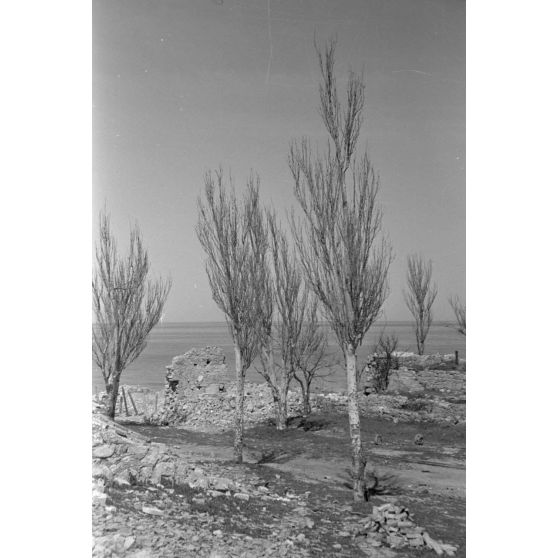 En Roumanie, paysage à proximité des rives de la mer Noire.