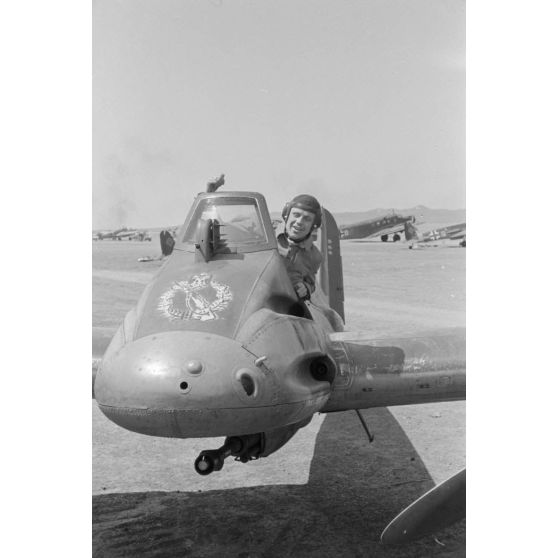 Rudolf-Heinz Ruffer opérant à bord d'un Henschel Hs-129 du Schlachtgeschwader 1 (SG 1).