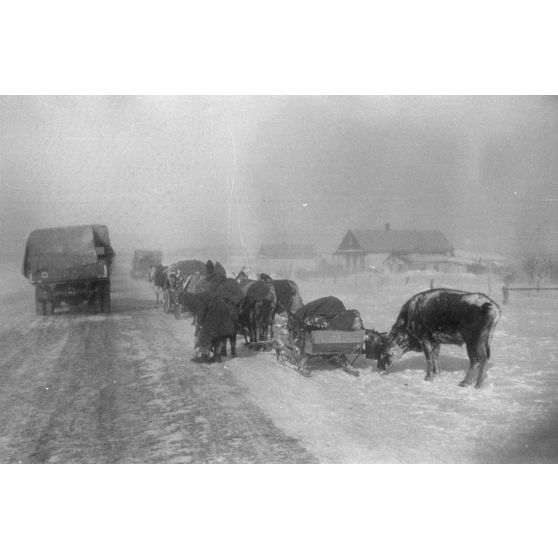 Dans une tempête de neige, la progression sur une route glacée.