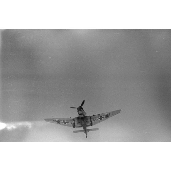 Retour de mission de bombardement du Junkers Ju-87 codé NI+VE du Sturzkampfgeschwader 2 "Immelmann".