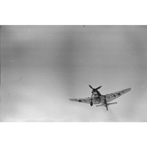 Retour de mission de bombardement du Junkers Ju-87 CE+CY du Sturzkampfgeschwader 2 "Immelmann".