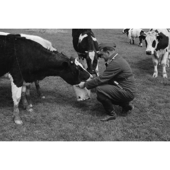 Le Sonderführer G (Gruppenführer) Hans Theyer de la Luftwaffe Kriegsberichter Kompanie 4 (Lw.KBK.4) à Hamoir (Belgique).