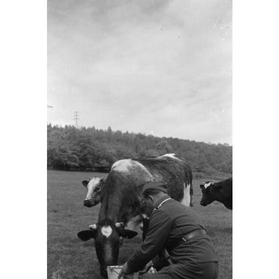 Le Sonderführer G (Gruppenführer) Hans Theyer de la Luftwaffe Kriegsberichter Kompanie 4 (Lw.KBK.4) à Hamoir (Belgique).