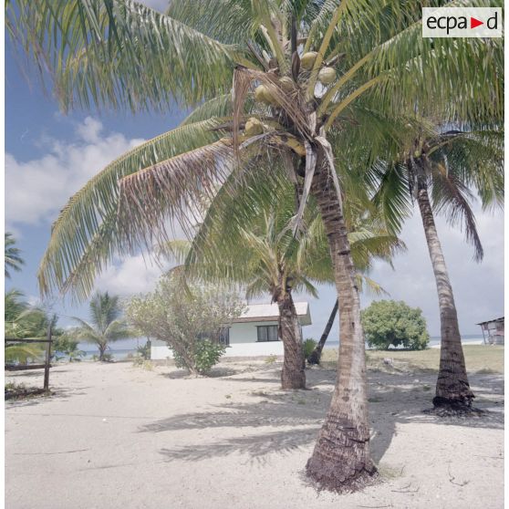 Paysage et maison de l'atoll d'Hao dans l'archipel des Tuamotu.