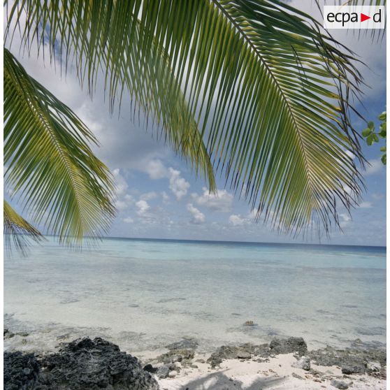 Paysage de l'atoll d'Hao dans l'archipel des Tuamotu.