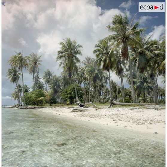 Motu au large de Tahaa.