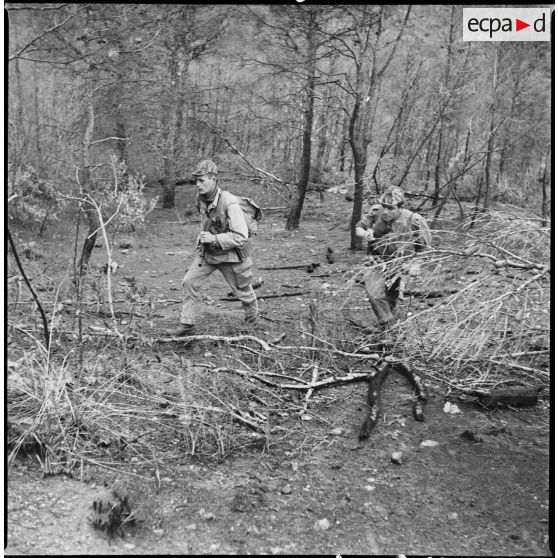 Commando Cobra en opération. [Description en cours]