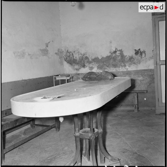 Table d'autopsie de l’hôpital civil de Saïda. [Description en cours]