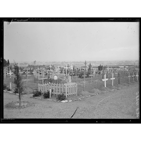 Salonique. Cimetière de Zeïtenlick. [légende d'origine]