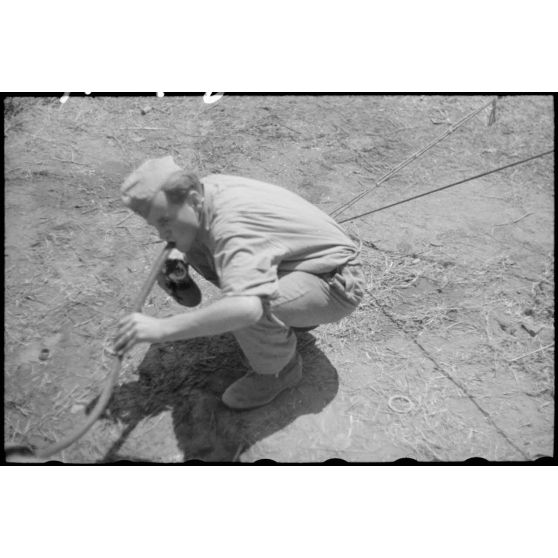 Des aviateurs allemands remplissent leur gourde.