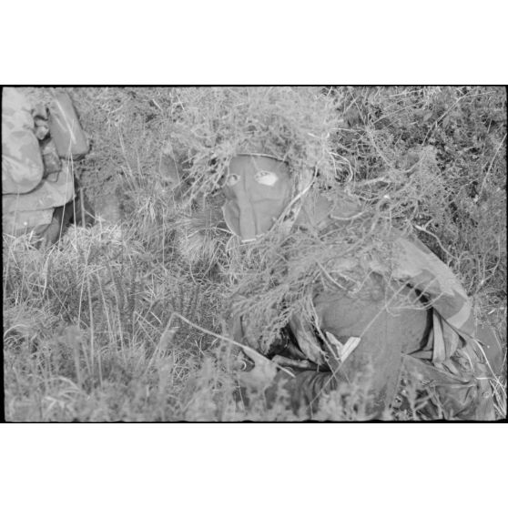 Dans les monts d'Arrée, un parachutiste allemand de la 3.Fallschirmjäger.Division recouvert d'un camouflage.