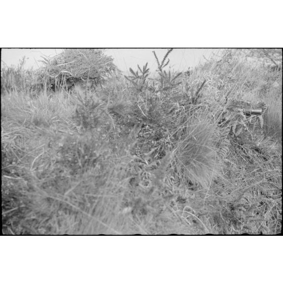 Une mitrailleuse MG-42 camouflée dont on aperçoit que le cache flamme.