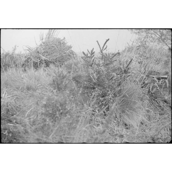 Une mitrailleuse MG-42 camouflée dont on aperçoit que le cache flamme.