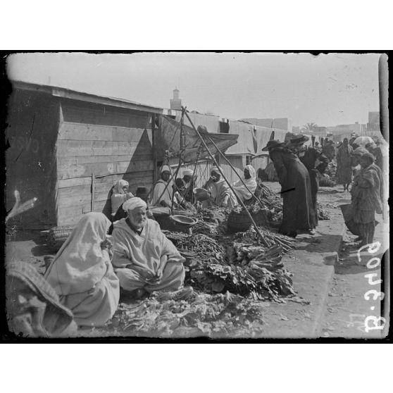 Rabat, le marché indigène. [légende d’origine]