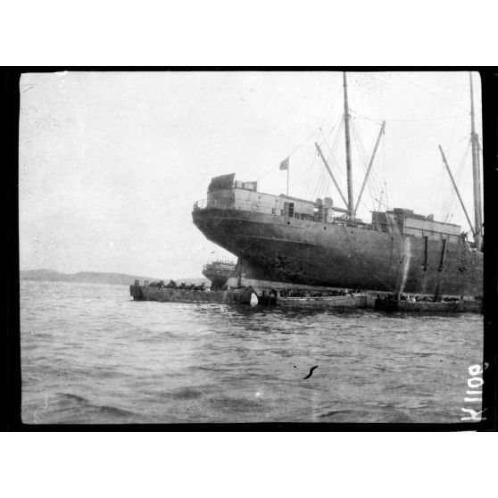 Moudros. Débarquement de mulets venant des Dardanelles. [légende d'origine]
