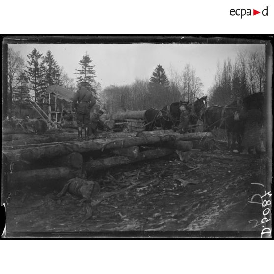 [Soldats canadiens participant à la coupe du bois].