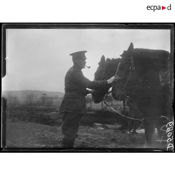 [Soldats canadiens participant à la coupe du bois].