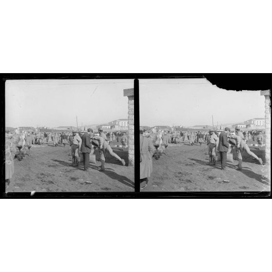 Salonique. Nouveaux contingents d'artillerie lourde qui viennent de débarquer. [légende d'origine]