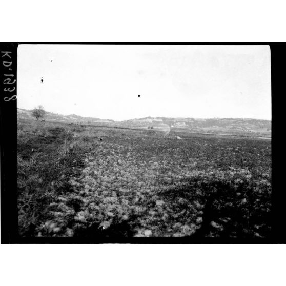 La vallée de Cassandra en Chalcidique. [légende d'origine]