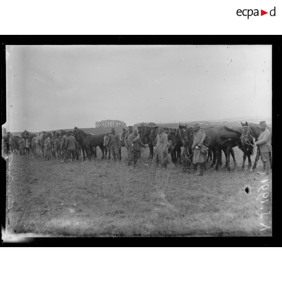 Ambelonès. Près Salonique. Serbes venant de débarquer. [légende d'origine]