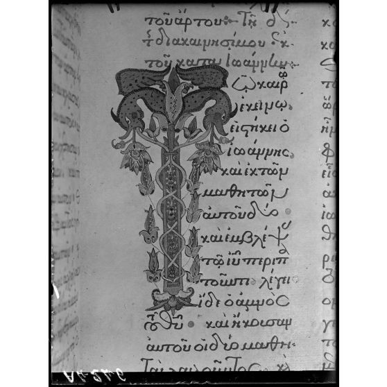 Mont Athos, monastère de Vatopedi. Miniature lettre T. [légende d'origine]