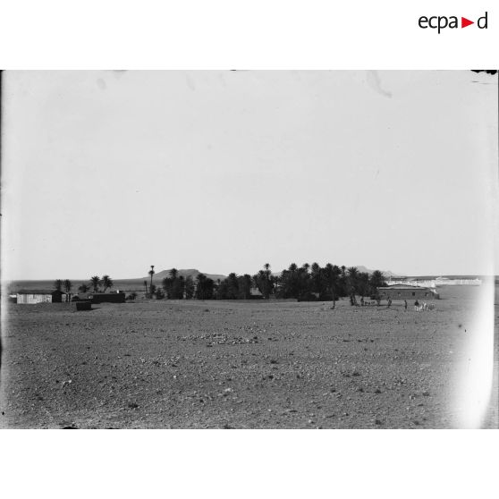 14. Une vue de la palmeraie prise de la redoute nouvelle. [légende d'origine]