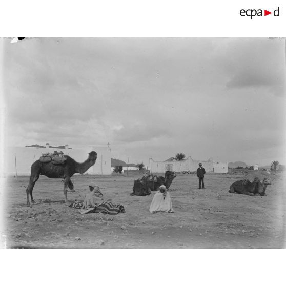 32. Chameaux derrière le bureau arabe. [légende d'origine]